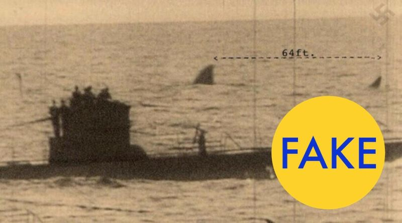 Illustration for article titled 76 Viral Images From 2015 That Were Totally Fake